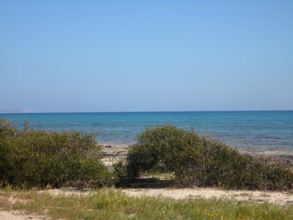 Villa Alexandra Ayia Napa Exterior photo